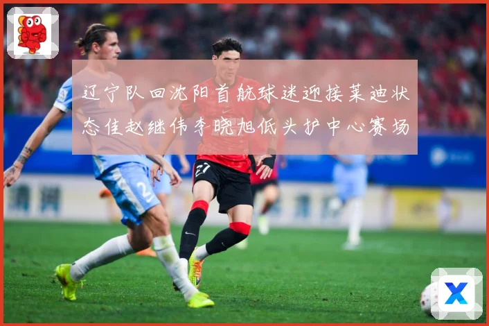 辽宁队回沈阳首航球迷迎接莱迪状态佳赵继伟李晓旭低头护中心赛场复盘-深度解析